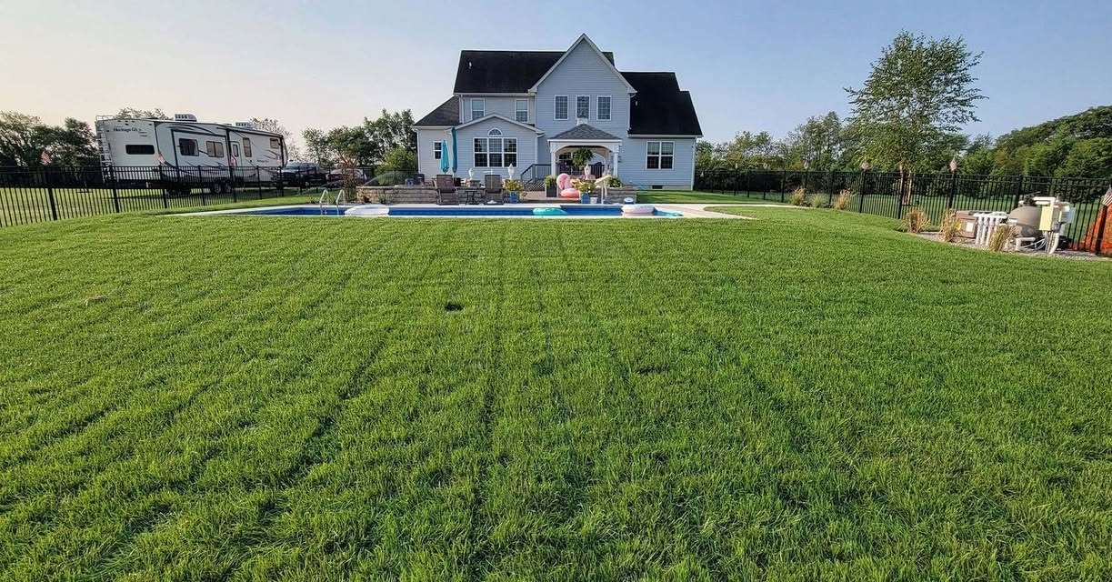 Fresh spring lawn after sod installation