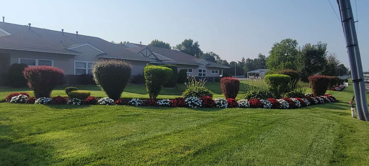 Long roadside bed of red and white annuals