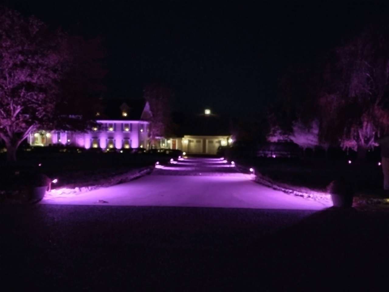 Estate facade and trees washed in purple uplighting