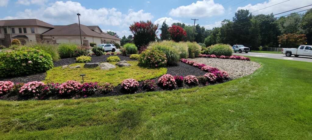 Pink flower island with ornamental grasses