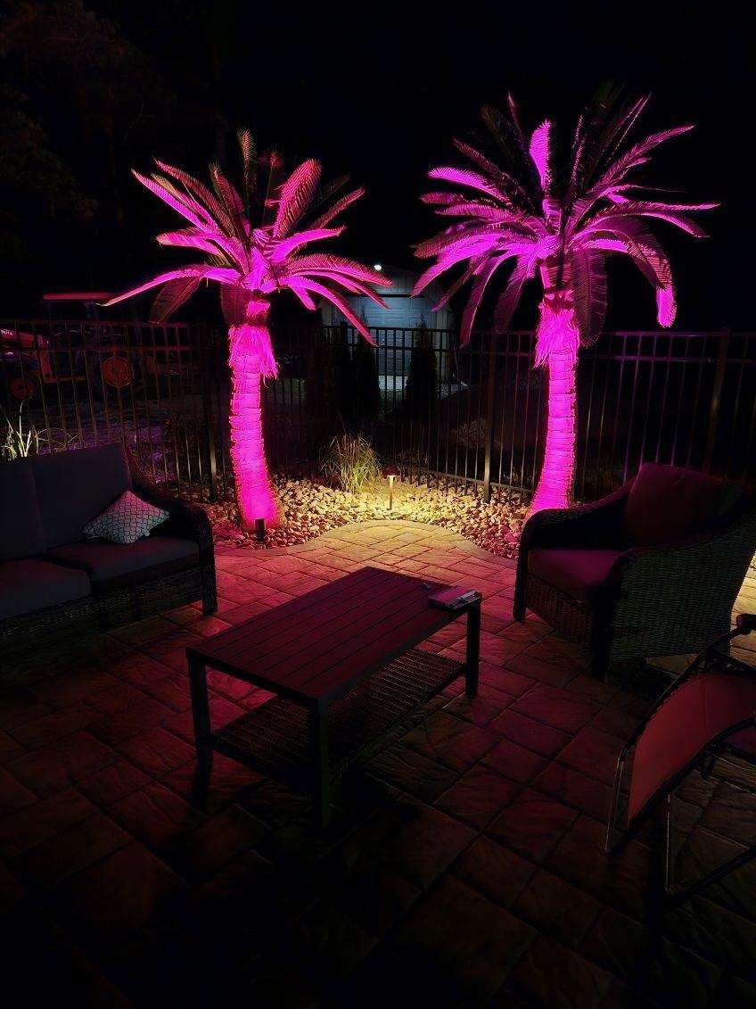 Palms lit magenta above a patio seating area