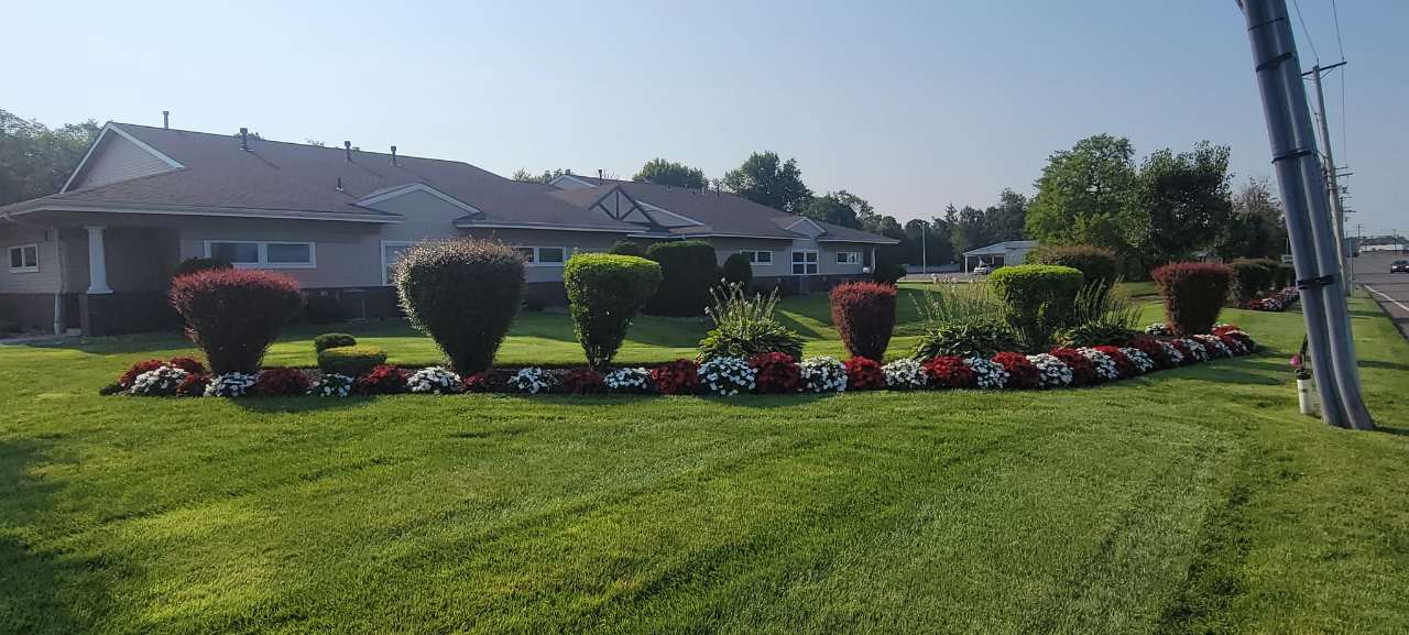 Curved community bed with annuals and shaped shrubs