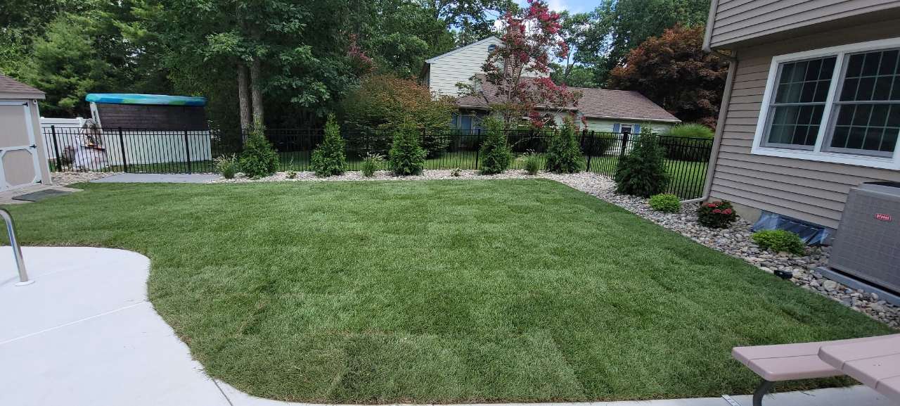 Curved lawn edge against a paver patio